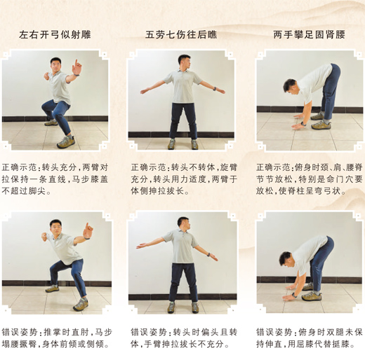 动静相宜，八段锦这样练